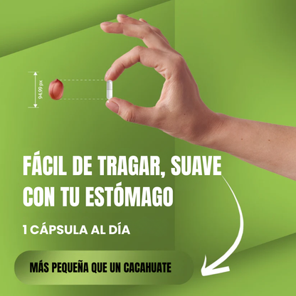 EverVision  - El poder natural detrás de una visión saludable